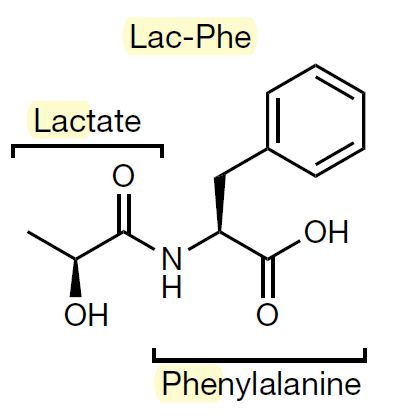 背靠背两篇Nature Metabolism论文揭开二甲双胍的减肥新机制与运动殊(图4)