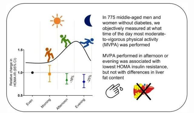 早上运动好还是晚上运动好？研究发现：不同的人“最佳运动时间”不同(图4)