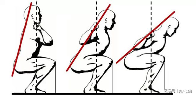 健身姿势总是不标准？大神教你记住这一点纠正90%的训练动作(图2)