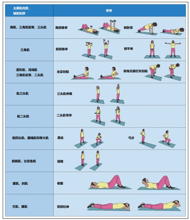 j9九游会真人游戏第一品牌每周两次力量锻炼可防心血管病！AHA科学声明(图2)