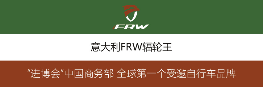 j9九游会真人游戏第一品牌2020进博会中国自行车品牌排行辐轮王重温第三届进博会(图3)