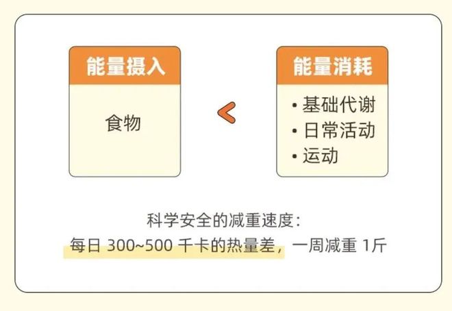 j9九游会真人游戏第一品牌不挨饿、不伤身靠谱的减肥方法来了不是运动！(图3)