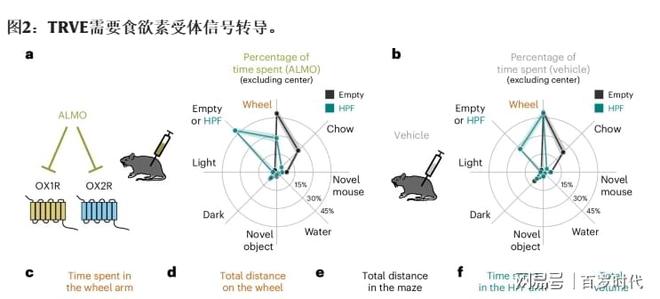 运动减肥的flag立不起来？《自然》揭示核心原因：与意志力无关！(图4)